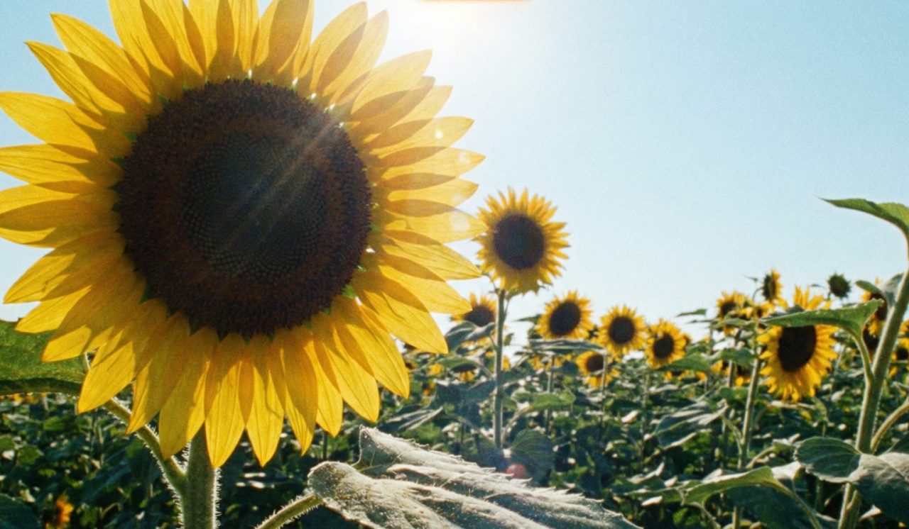 There Is More To Life Than The One Who Walked Away