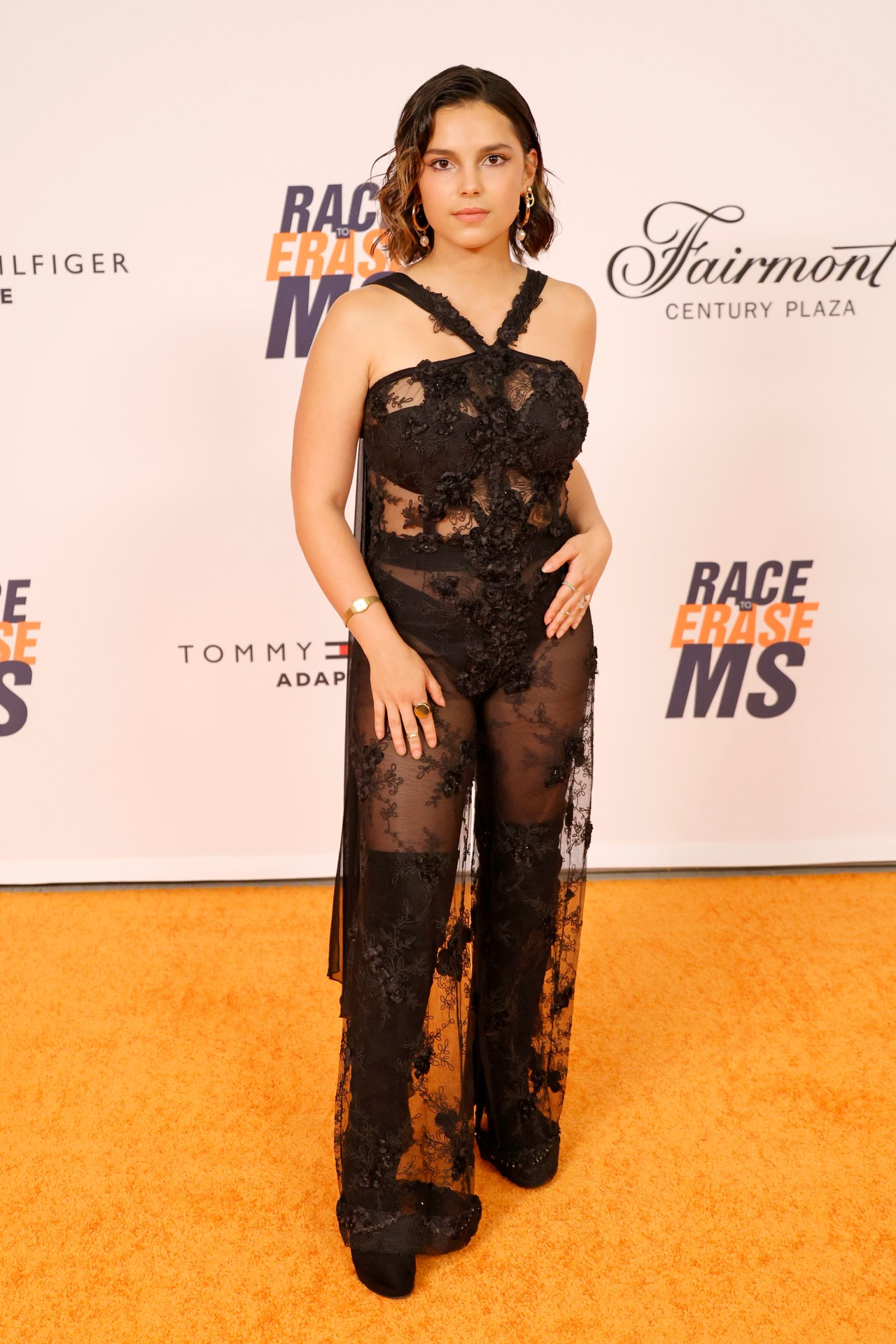 29th Annual Race To Erase MS - Red Carpet