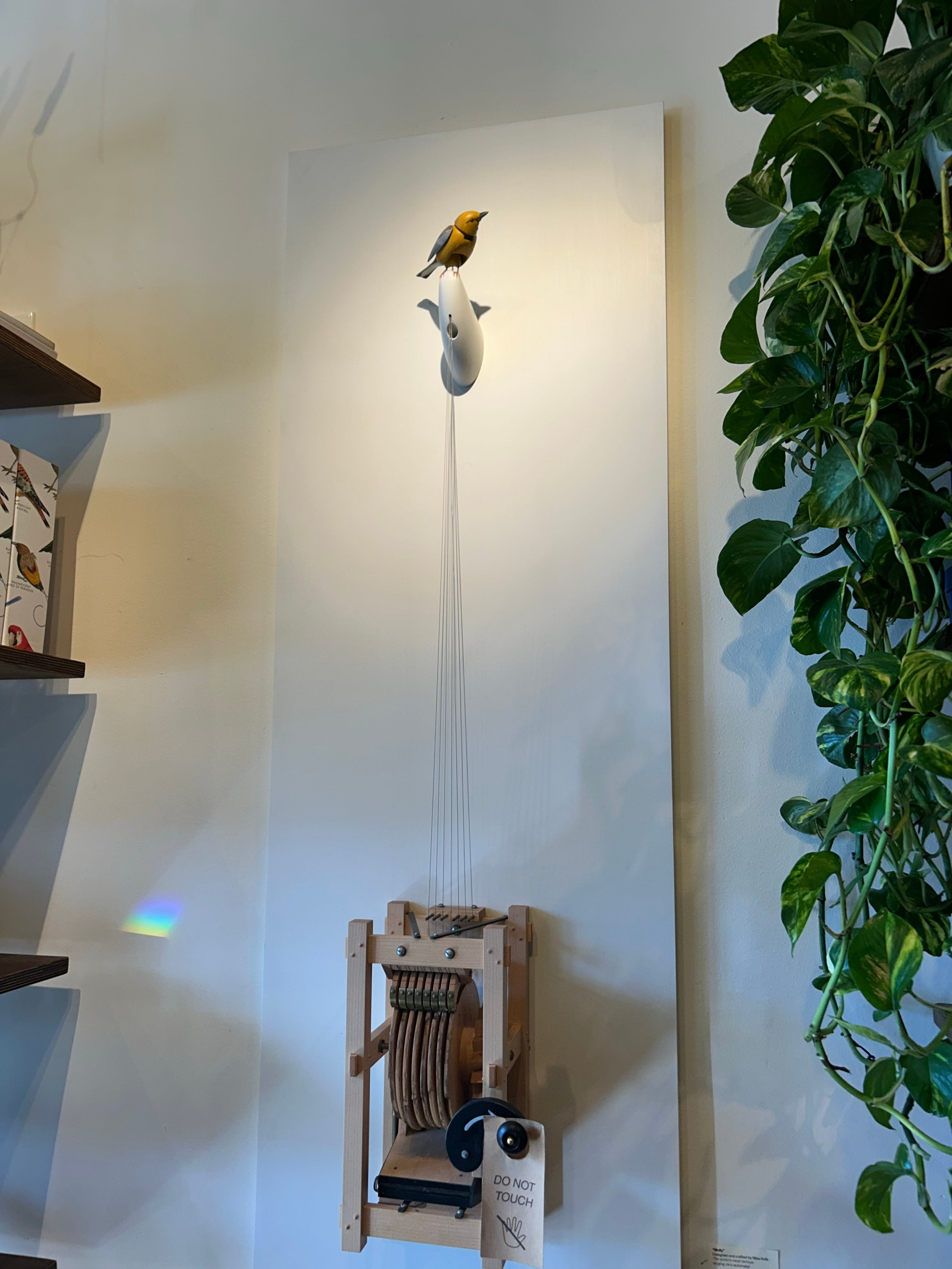 Items on shelves at Art of Play, a shop in Brooklyn, NY, at the center of a dispute with Kelly Clarkson, pictured Oct. 13, 2026. Clarkson visited the store on Oct. 10 and claimed a store employee t… (