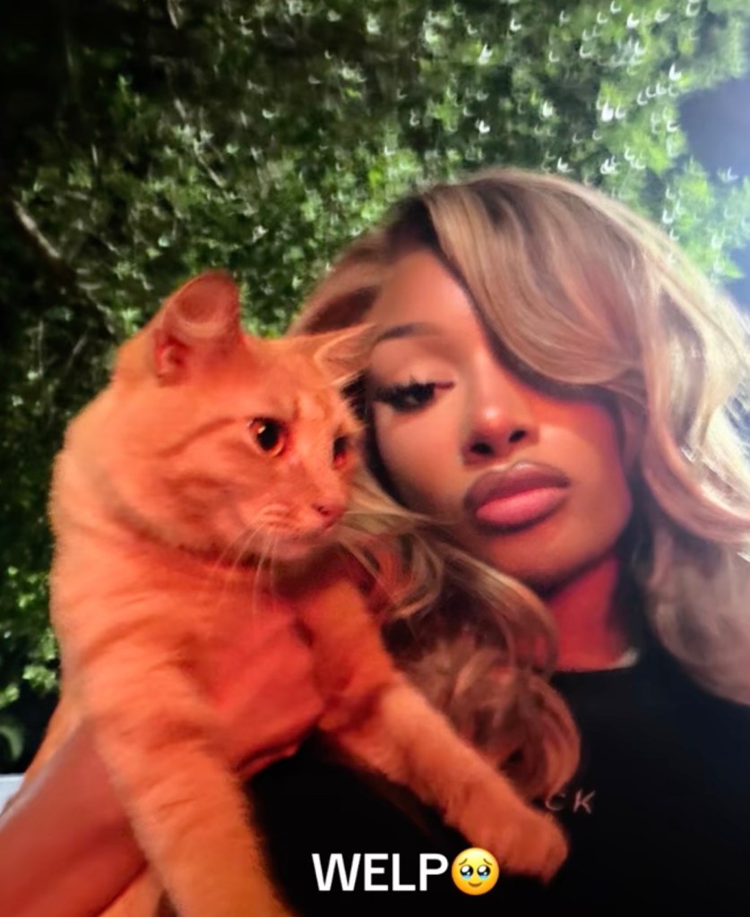 Megan Thee Stallion with her newly adopted orange cat, Miso